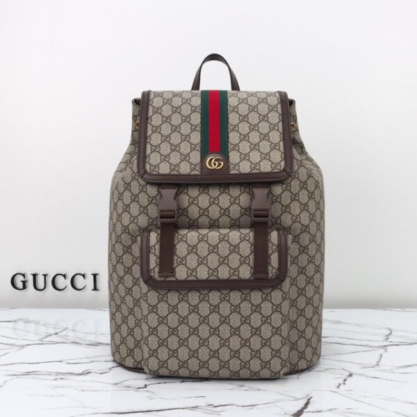 Bag-gucci-1